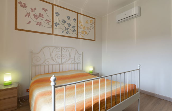 Coty (IMP522) - Foto 19