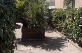 Appartement T2, terrasse, piscine, clim, proche plage - Foto 7