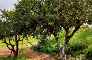 Casa do Chaparral campo e praia - Foto 46