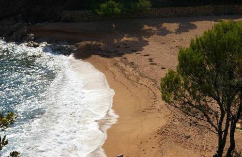 Cala Salionç 12 – 1ª Línea de Mar con A/A - Foto 11