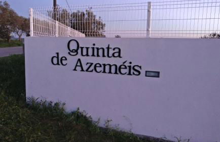 Quinta De Azemeis - Foto 11