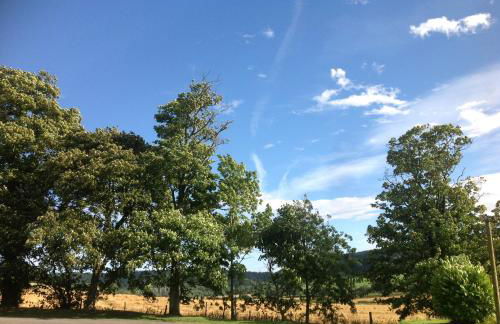 Everley Cottage - Foto 14