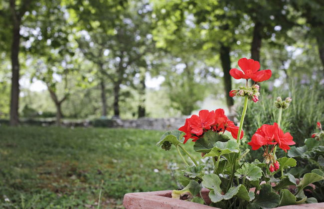 Il Colombaio di Cencio - Foto 54