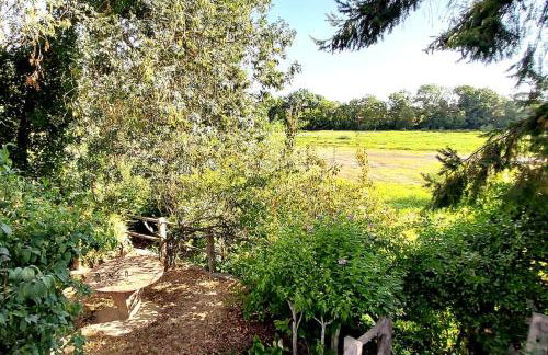 Le Bois Flotté - Maison au cœur de la Loire entre ville et nature - Foto 6