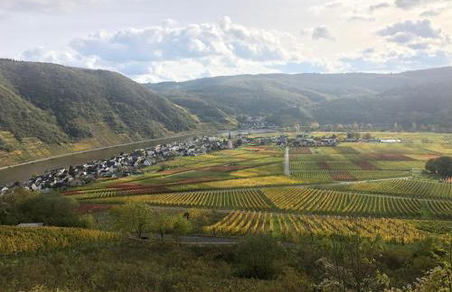 Ferienwohnung Probst - Foto 15