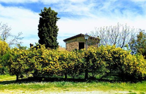 la cana dolce - Foto 8