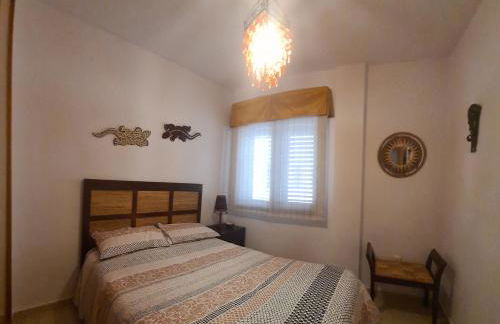 The Salamadras - Photo 14