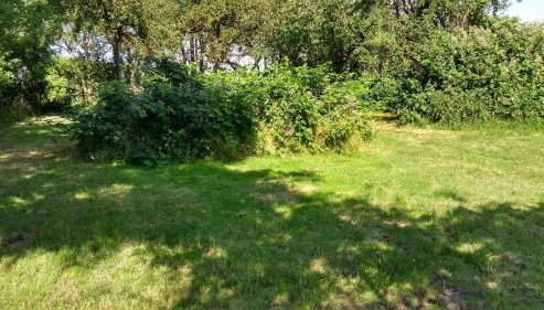 Kornkammer - Photo 2