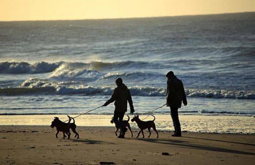 Mesmerising sea views - Penrose - above the beach Cornwall. - Foto 23