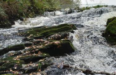 the tillys cottages - Foto 31