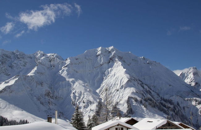 Majestic Apartment in Schrocken - Photo 33