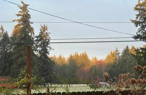 Hobby farm with goats and views of horses - Foto 8