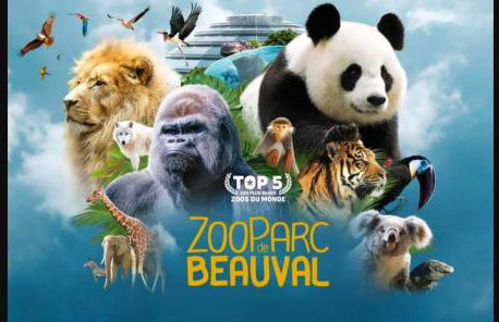 Gite Les Eglantines - Foto 21