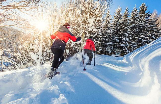 Aragon P36 - Foto 63