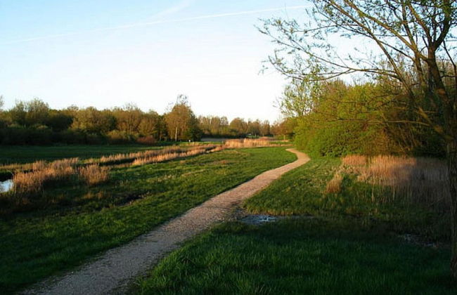 Luxury Lodge nr Beach - Photo 27