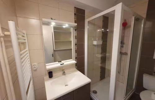 Le Drapeau : Apt 2 Personnes, 1 ch, avec Balcon - Foto 7