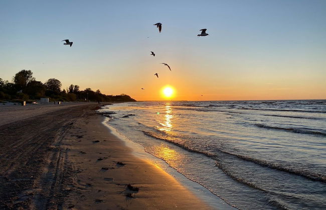 Cottage by the Sea, Guest House Melon - Photo 20
