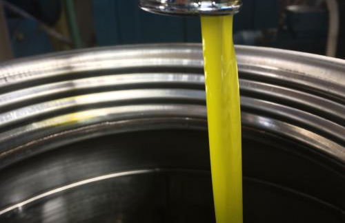 Poggio Magginga - Foto 34