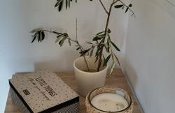 Les jardins de Foata - Foto 55