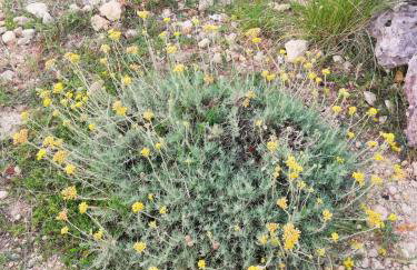 APARTMAN MAJSTOROVIĆ - Photo 23