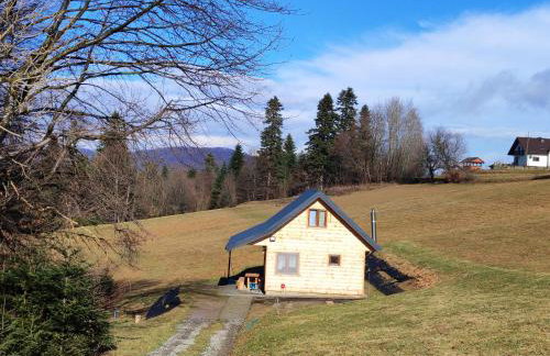 Chata DUDZIAKÓWKA - Foto 7