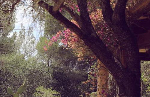 Finca Ses Eres - Foto 25