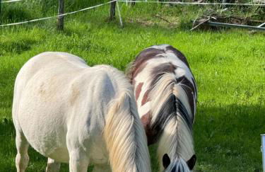 Appartement de luxe - Foto 34