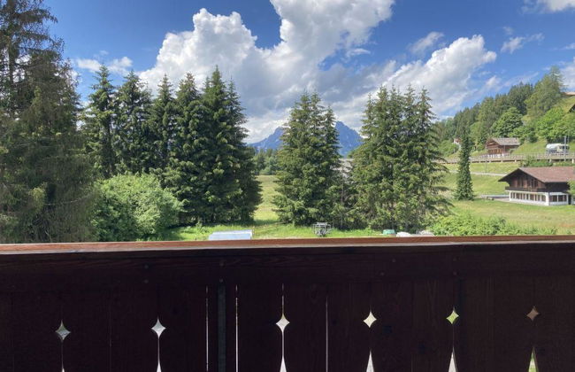 Fichte (Sulliger) - Foto 3