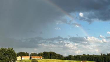 Hof Kaltenbrunn - Foto 5