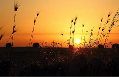 Ulivo Apartment - Foto 38