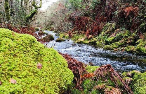 Casa da Capela - Foto 24