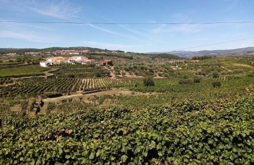 Solar dos Avós - Foto 16