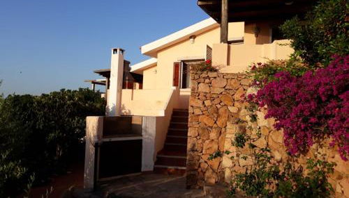 Appartamento Oleandro - Photo 2, Garden view