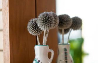 Ferienwohnung auf Biohof Gutso - Foto 6