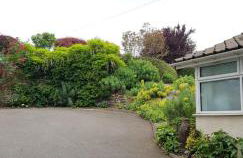 Chadwich Heights - Foto 22