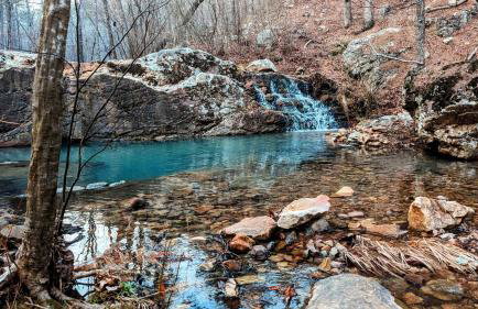 The Prancing Pony Guest House at Edendell - Foto 47