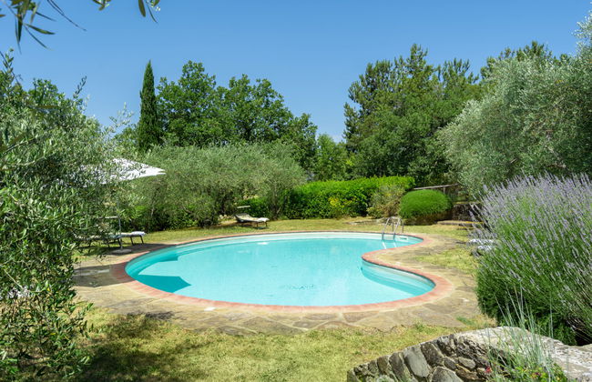 Cafaggio di Sopra - Photo 38