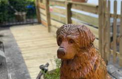 Charleston Apartment Self Catering 5 min drive from town centre - Photo 16