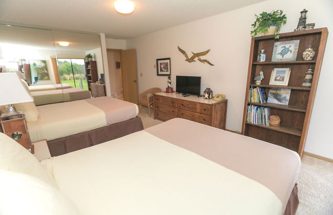 The Grey Gull - Foto 3