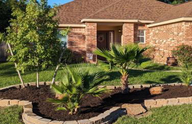 The Sunrise Oasis - Foto 1