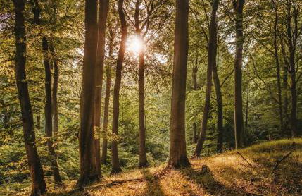 Agroturystyka Na Końcu Świata - Foto 31