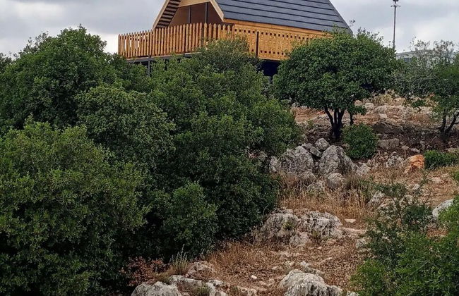 orchid huts - Photo 34