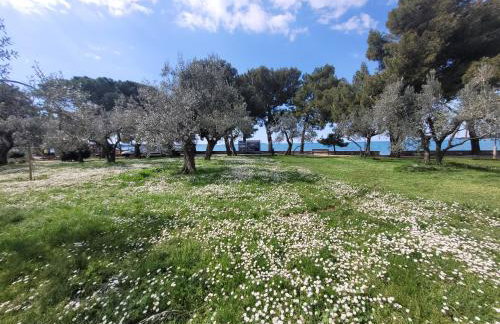 Ferienwohnung mit Pool Kroatien mit Meerblick und Pool - Foto 38