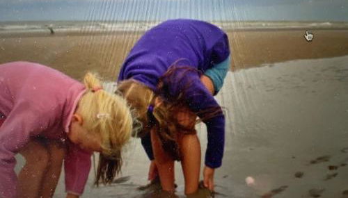 Seestern am Naturstrand - Foto 2