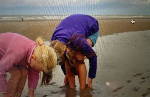 Seestern am Naturstrand - Foto 2