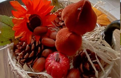 Gîte spacieux près du zoo de Beauval avec cour privative, terrasse, et équipements complets - FR-1-591-371 - Foto 7