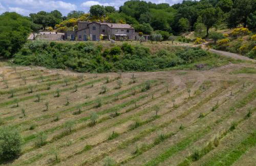 Agriturismo Le Casette Sul Lago - Foto 16