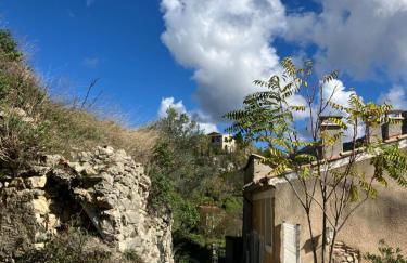 Chateau appartement tussen Mont Ventoux en Luberon - Foto 42