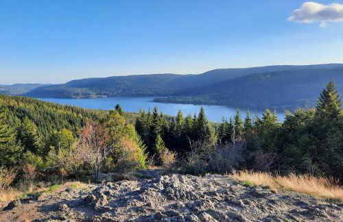 Ferienwohnung Boch Schluchsee - Foto 33