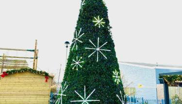 Adelfas - Foto 2, Other